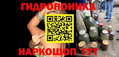 прущие крисы Гусев