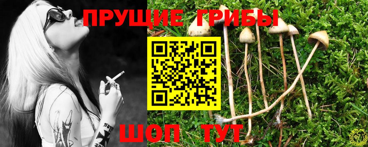 Галлюциногенные грибы прущие грибы  Псилоцибиновые грибы Magic Shrooms  Междуреченск  Вход с VPN 