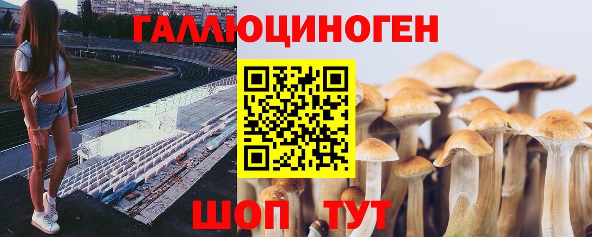 Псилоцибиновые грибы GOLDEN TEACHER  Псилоцибиновые грибы ЛСД  купить наркотик  Междуреченск 