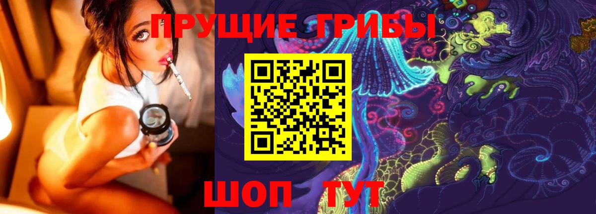Псилоцибиновые грибы мицелий Междуреченск